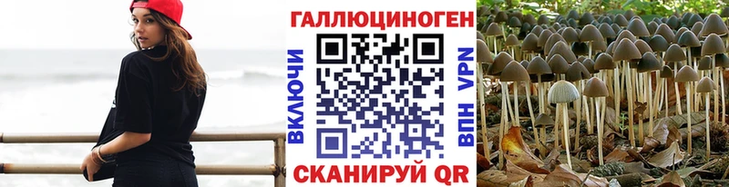 Псилоцибиновые грибы Cubensis  наркошоп  Раменское 